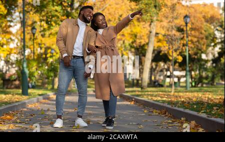 Millennial african american couple walking on alley in autumn park Stock Photo