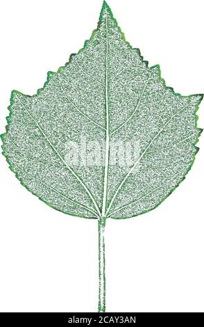 Distress tree leaves, leaflet texture. Green and white grunge background. EPS 8 vector. Stock Vector