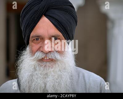 Elderly Indian Sikh devotee with white beard and smiling eyes wears a black turban (dastar) and looks into the camera. Stock Photo