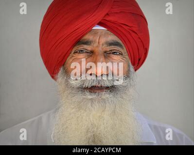 Elderly dignified Indian Sikh man with long beard wears a traditional turban (dastar) in red and poses for the camera. Stock Photo