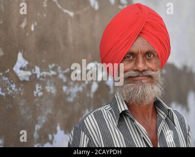 Elderly Indian Sikh man with red Sikh turban (dastar) and short full beard poses for the camera. Stock Photo