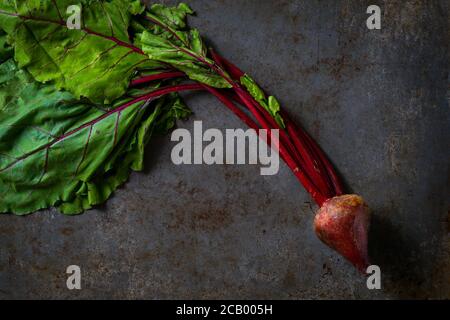Red beets Stock Photo