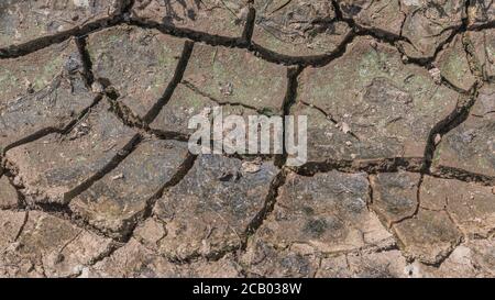 Wide 16:9  Cracked mud in dry field drainage ditch. For water shortage, drought in UK, heatwave, heatwave crops, gardening in heatwave, soil science Stock Photo