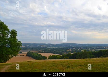 Mid August on the North Downs Way path between Knockholt Pound and Chevening hamlet. Photos show the chalk escarpment of the North Downs Stock Photo