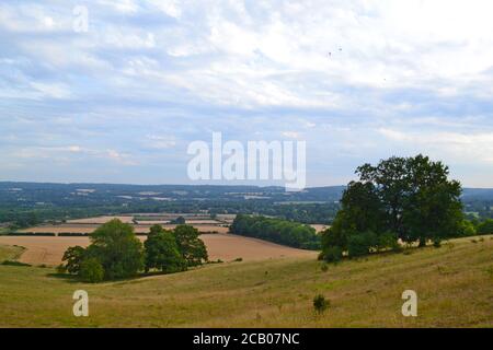 Mid August on the North Downs Way path between Knockholt Pound and Chevening hamlet. Photos show the chalk escarpment of the North Downs Stock Photo