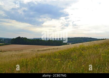 Mid August on the North Downs Way path between Knockholt Pound and Chevening hamlet. Photos show the chalk escarpment of the North Downs Stock Photo