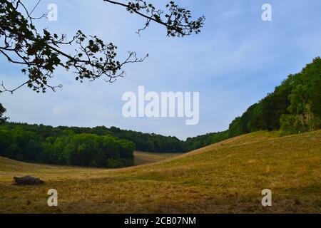 Mid August on the North Downs Way path between Knockholt Pound and Chevening hamlet. Photos show the chalk escarpment of the North Downs Stock Photo