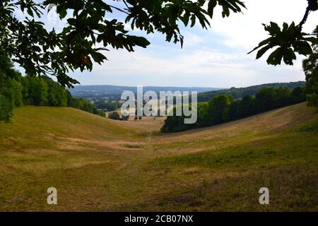 Mid August on the North Downs Way path between Knockholt Pound and Chevening hamlet. Photos show the chalk escarpment of the North Downs Stock Photo