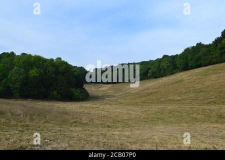 Mid August on the North Downs Way path between Knockholt Pound and Chevening hamlet. Photos show the chalk escarpment of the North Downs Stock Photo