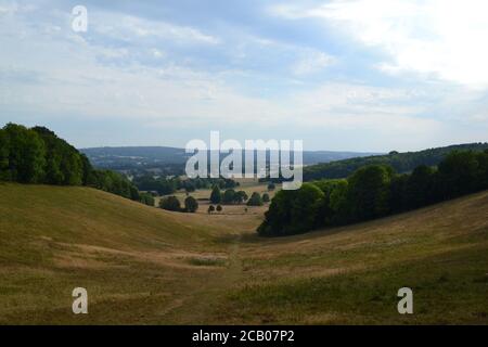 Mid August on the North Downs Way path between Knockholt Pound and Chevening hamlet. Photos show the chalk escarpment of the North Downs Stock Photo