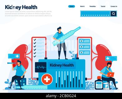 illustration for checking kidney health. diseases and disorders of kidney. checking and handling for internal organs. designed for landing page, templ Stock Vector