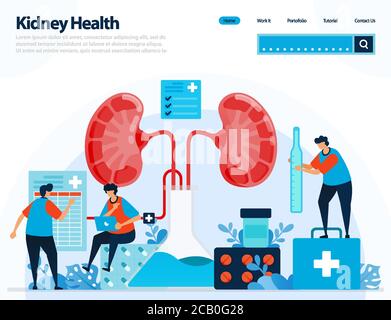 illustration for checking kidney health. diseases and disorders of kidney. checking and handling for internal organs. designed for landing page, templ Stock Vector