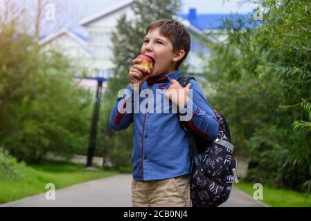 Little kid boy with backpack on the way to the school eating fresh apple on a street Stock Photo