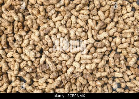 Peanuts in shell texture background. Raw peanuts on display at a farmer's market. Close up image. Stock Photo