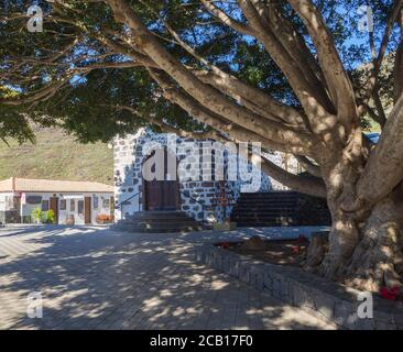 large Ficus tree, old church and pavement in pitoresque Masca village in Tenerife with old stone houses in afternoon light Stock Photo