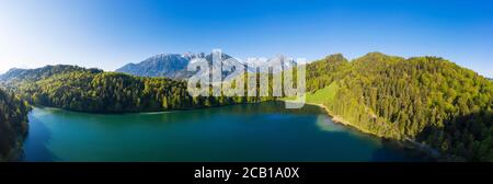 Panorama from Lake Alatsee, near Fuessen, Vilser Kegel in Tannheimer Berge, drone shot, East Allgaeu, Allgaeu, Swabia, Bavaria, Germany Stock Photo