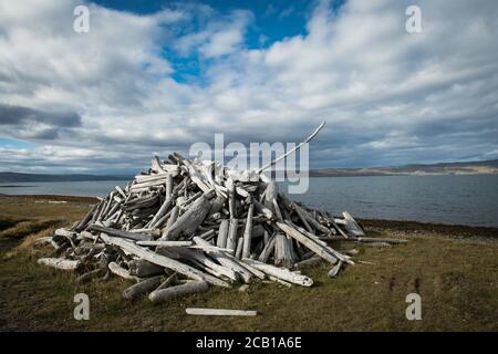 Stacked driftwood logs, Steingrimsfjoerour, Westfjords, Northwest Iceland, Iceland Stock Photo