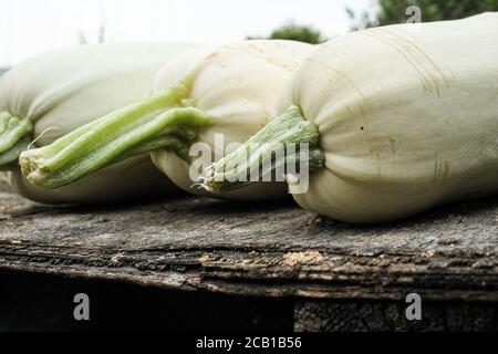 Light green fresh zucchini stacked in a bunch, shot from above Stock Photo