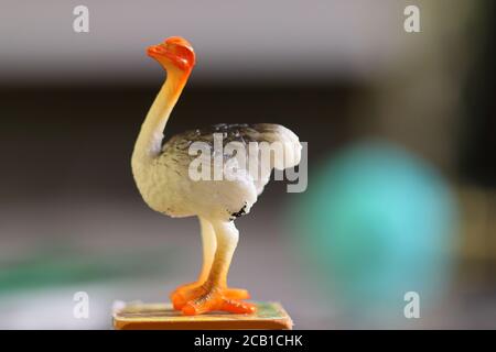 Attractive Ostrich Bird's Plastic Toy Stock Photo