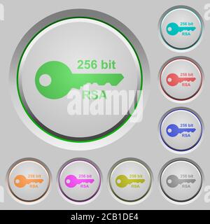 256 bit rsa encryption color icons on sunk push buttons Stock Vector