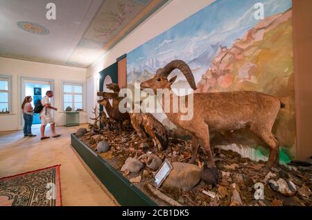 History Museum, Gabala City, Azerbaijan, Middle East Stock Photo