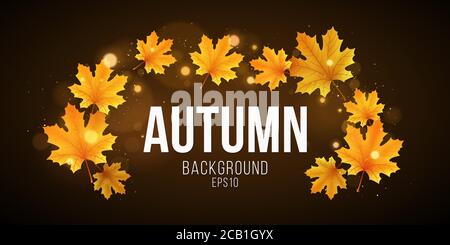 Autumn abstract banner of orange maple leaves. Fall festive template for your design. Abstract golden lights bokeh. Seasonal cover. Vector illustratio Stock Vector