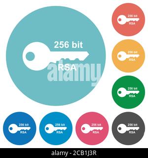 256 bit rsa encryption flat white icons on round color backgrounds Stock Vector