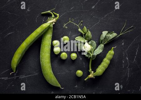 Fresh harvested green peas on black marble Stock Photo
