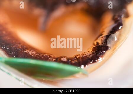 Detailed closeup macro photo of a fresh raw Green lipped mussel from New Zealand. Stock Photo