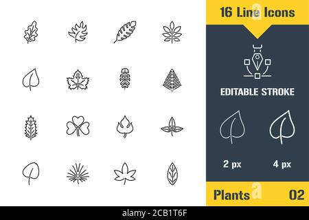 Tropical Plants, Leaves and Branch. Thin line icon - Outline flat vector illustration. Editable stroke pictogram. Premium quality graphics concept for Stock Vector