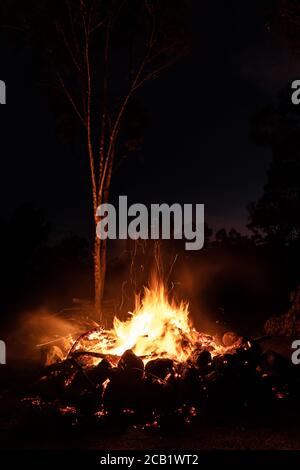 Camp fire burning in Australian outback with gum trees (eucalyptus trees) around Stock Photo