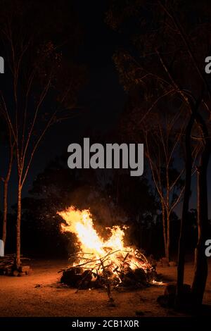 Camp fire burning in Australian outback with gum trees (eucalyptus trees) around Stock Photo