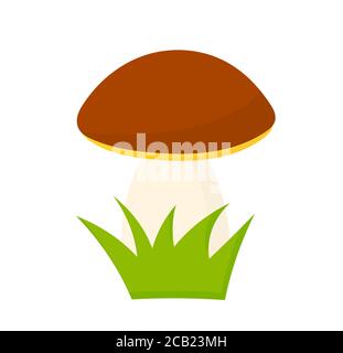 Cep boletus forest mushroom cartoon style illustration. Vector design element. Stock Vector