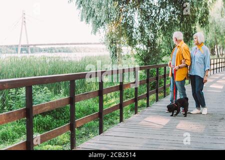 Senior couple with pug dog on leash walking on wooden bridge in park Stock Photo