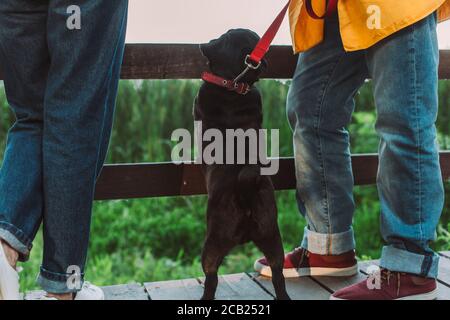 Cropped view of pug dog on leash standing beside senior couple on wooden bridge in park Stock Photo