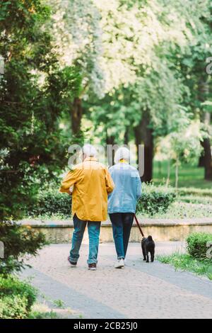 Back view of senior couple with pug dog on leash walking on path in park Stock Photo