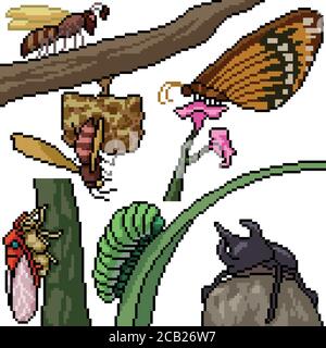 pixel art set isolated insect species Stock Vector