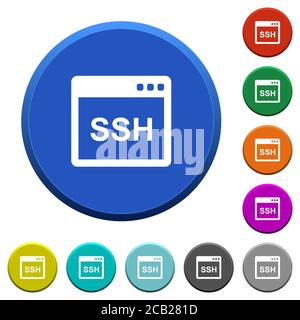 SSH client application round color beveled buttons with smooth surfaces and flat white icons Stock Vector
