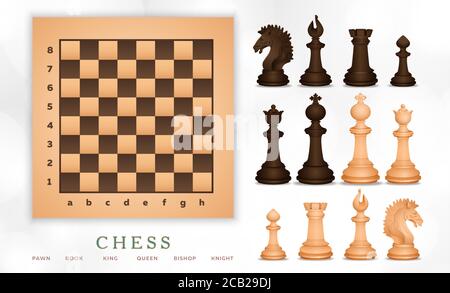 Chess and chess board set, chessmen banner, realistic drawing. Black, white piece pawn, king, queen, bishop, knight, rook, with signed figure names is Stock Vector