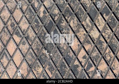 rusty dirty close-up view diamond plate storm drain cover suitable for website marketing background backdrop setting architecture architectural layout Stock Photo