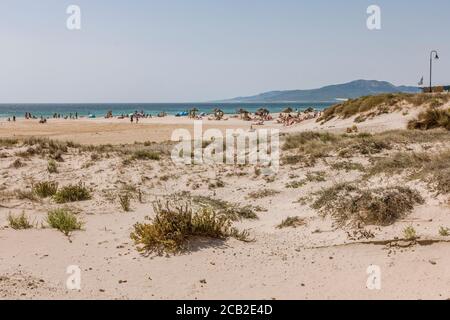 Tarifa Beach, High season with dunes at Atlantic ocean, during Covid 19 crisis, Tarifa, Costa de la Luz, Andalusia, Spain Stock Photo