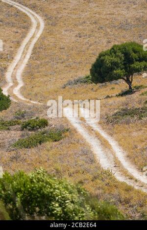 Winding countryside dirt road through a dry grassland area. Andalusia, Spain. Stock Photo