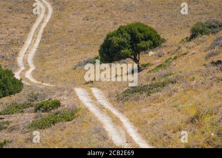 Winding countryside dirt road through a dry grassland area. Andalusia, Spain. Stock Photo