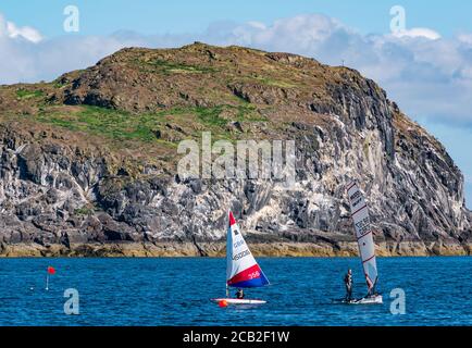 Musto skiff and topper sailing dinghies in ELYC sailing race on sunny Summer day by Craigleith Island in Firth of Forth, Scotland, UK Stock Photo