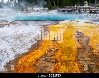 Hot spring in the Yellowstone National Park Stock Photo