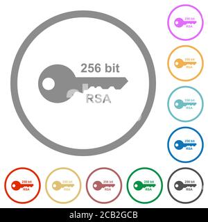 256 bit rsa encryption flat color icons in round outlines on white background Stock Vector