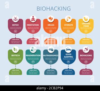 Infographic Biohacking template. Icons in different colors. Include Detox, Meditation, Drugs, Hydrate and others. Stock Vector