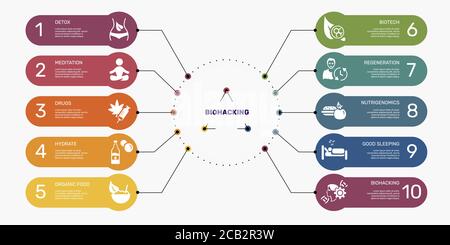 Infographic Biohacking template. Icons in different colors. Include Detox, Meditation, Drugs, Hydrate and others. Stock Vector