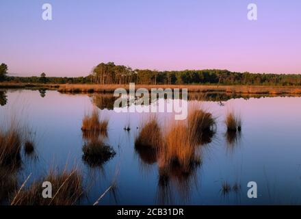 Sunset skies over the bog pools at Thursley Common, Surrey, UK Stock Photo