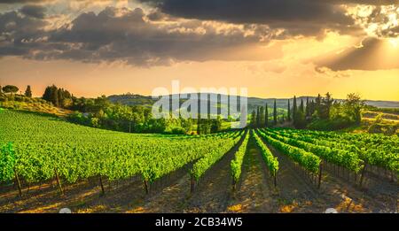 San Gimignano medieval town towers skyline and vineyards countryside landscape panorama on sunrise. Tuscany, Italy, Europe. Stock Photo